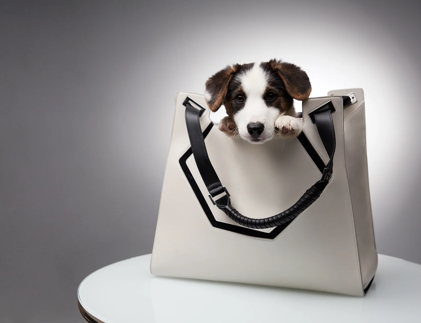 6-Collection-Tote-Bag-white-puppy
